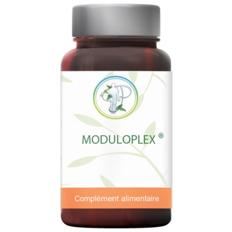 Planticinal Moduloplex Gastro resistant 90 gélules Planticinal