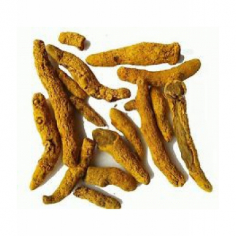 Curcuma Madras Rhizome bio 100 gr Herboristerie de Paris