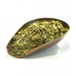 Herboristerie De Paris Tisane Alchémille vulgaire plante 100gr Herboristerie De Paris