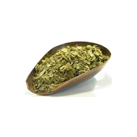 Herboristerie De Paris Tisane Alchémille vulgaire plante 100gr Herboristerie De Paris