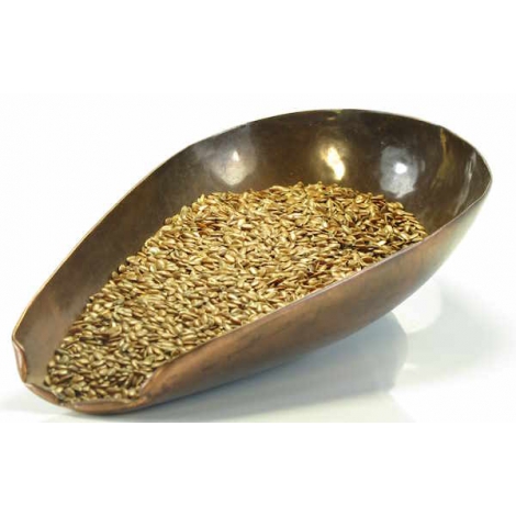 Lin  Graine de lin bio triée 100 gr Herboristerie de Paris Herboristerie De Paris