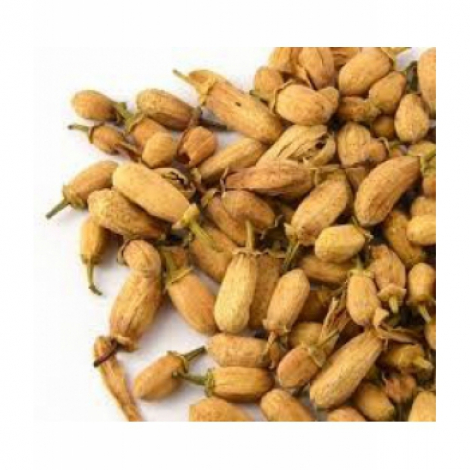 Oranger Bigaradier bouton Bio 100 gr Herboristerie de Paris Herboristerie De Paris