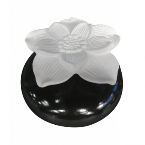 Zen'Arôme   Diffuseur par Capillarité Narcisse Noir