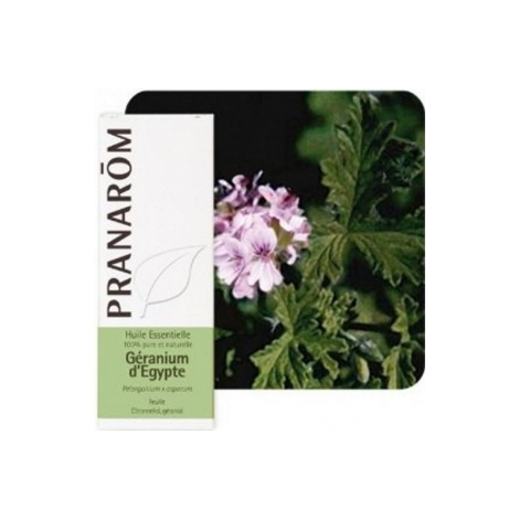 Pranarôm Géranium d'Egypte Flacon compte gouttes 10ml