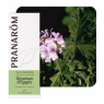 Pranarôm Géranium d'Egypte Flacon compte gouttes 10ml