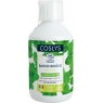 Coslys Bain de bouche protection complète fraîcheur intense arôme Menthe 250ml Coslys