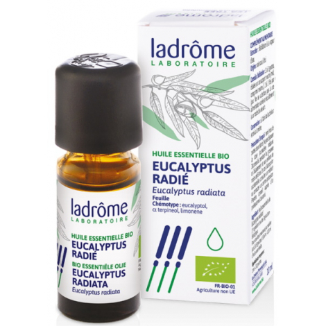 Ladrome Eucalyptus radié Bio 10ml Ladrome