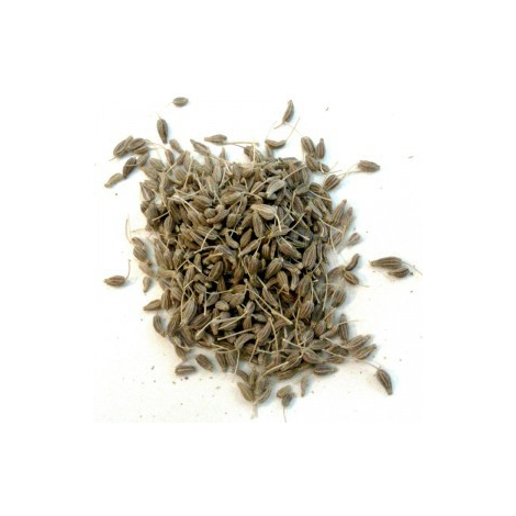 Herboristerie De Paris Anis Vert Bio Fruit 100 gr Herboristerie De Paris