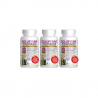 Dolupérine Holistica Lot de 3 boîtes de 60 gélules Holistica