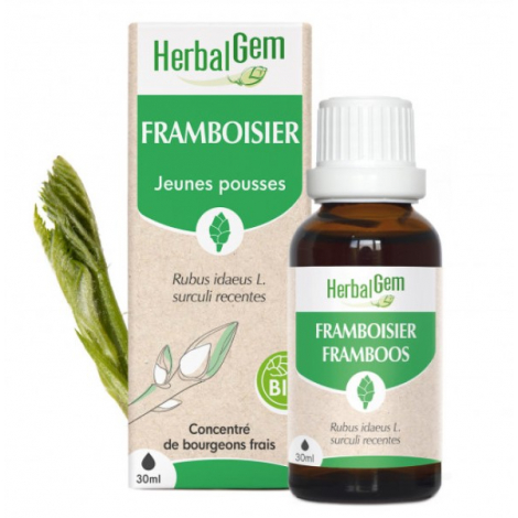 Herbalgem Gemmobase Framboisier bio Flacon compte gouttes 30ml Herbalgem Gemmobase