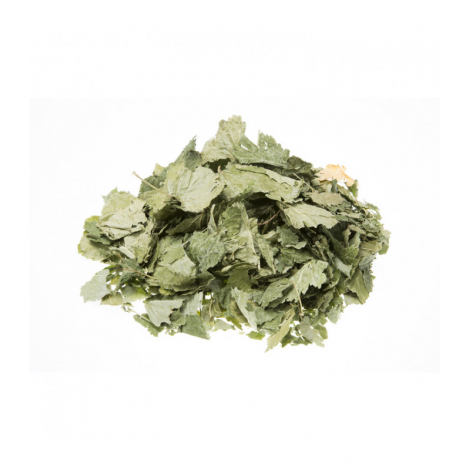 Herboristerie de Paris Cassis feuille coupé gros bio 100g Herboristerie De Paris