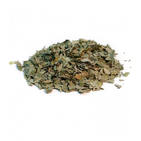 Herboristerie de Paris Desmodium feuille coupée 100g Herboristerie De Paris