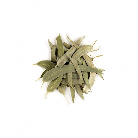 Herboristerie De Paris Eucalyptus feuilles longues entières bio tisane 100gr Herboristerie De Paris