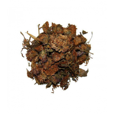 Herboristerie De Paris Trèfle rouge fleur 100 gr Herboristerie De Paris