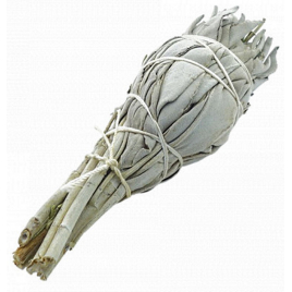 Herboristerie de Paris Sauge Blanche à Brûler Torche +/- 25 g Herboristerie De Paris