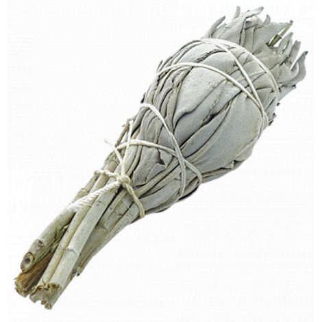 Herboristerie de Paris Sauge Blanche à Brûler Torche +/- 25 g Herboristerie De Paris