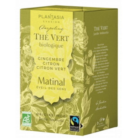 PlantAsia Thé vert le matinal Gingembre Citron Citron vert 18 sachets Plant Asia