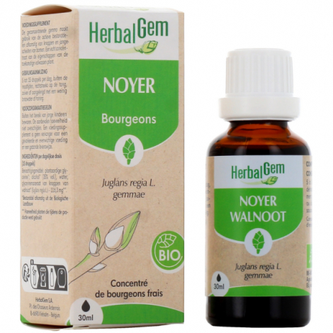 Herbalgem Gemmobase Noyer bio Flacon compte gouttes 30ml Herbalgem Gemmobase