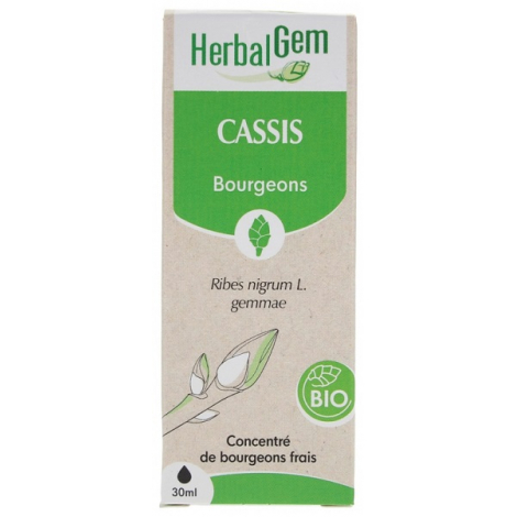 Herbalgem Gemmobase Cassis bio Flacon compte gouttes 30ml Herbalgem Gemmobase