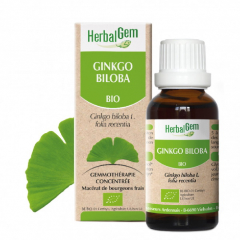 Herbalgem Gemmobase Ginkgo Biloba Flacon compte gouttes 30ml Herbalgem Gemmobase