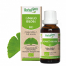 Herbalgem Gemmobase Ginkgo Biloba Flacon compte gouttes 30ml Herbalgem Gemmobase