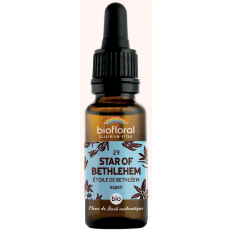 Biofloral Elixir Star of Bethléem n° 29 Etoile de Bethléem 20ml Onaturel