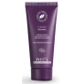 Phyts Crème Absolue Fermeté Anti Rides 40g Phyts