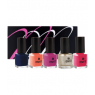 Coffret MondeBio Box vernis Top 5 Mondebiobox