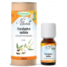 Phytofrance Huile essentielle Eucalyptus Radiata Bio 10 ml Phytofrance