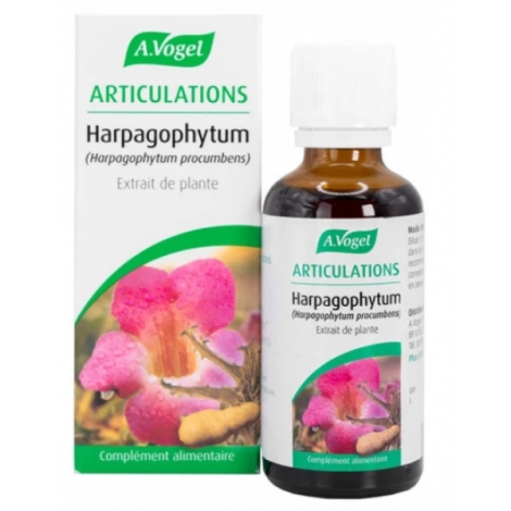 Harpagophytum   Extrait liquide Flacon compte gouttes 50ml Onaturel