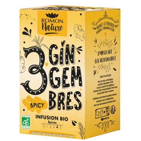 Romon Nature Infusion plaisir 3 Gingembres bio 16 sachets Romon Nature