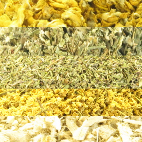 Herboristerie de Paris Tisane Aphone Cordes Vocales 100 gr Herboristerie De Paris