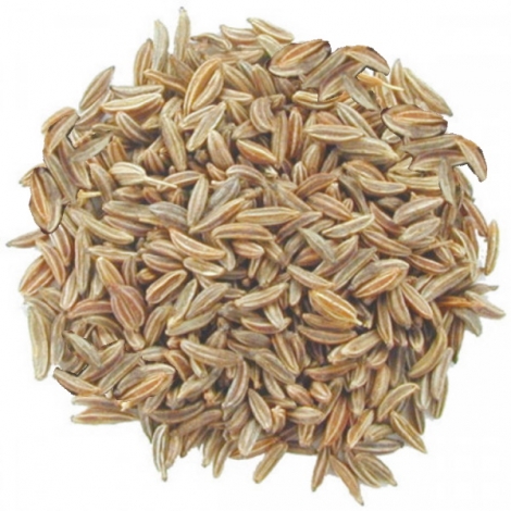 Herboristerie de paris CARVI NOIR FRUIT BIO 100g Herboristerie De Paris