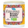 Phytofrance Bacopa Brahmi BIO 60 gélules Phytofrance