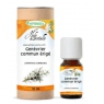 Phytofrance Huile essentielle Genévrier commun BIO 10ml  aide les voies urinaires Onaturel