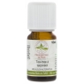 Herboristerie De Paris Huile essentielle de Tea Tree Terpinéol BIO 10ml Herboristerie De Paris