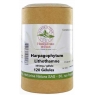 Herboristerie de Paris Harpagophytum Lithothamne 120 Gélules Herboristerie De Paris