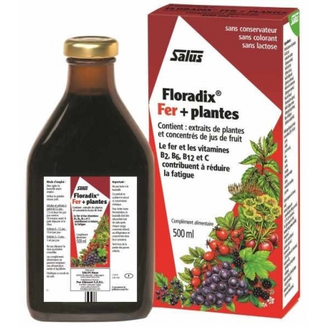 Floradix Fer + Plantes 500 ml gluconate de fer antifatigue vitamines du groupe B Onaturel