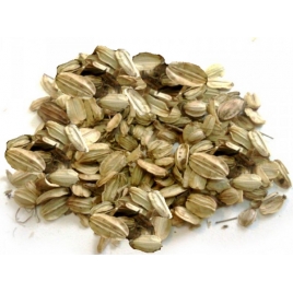Herboristerie De Paris Angélique fruit bio 100 gr Herboristerie De Paris