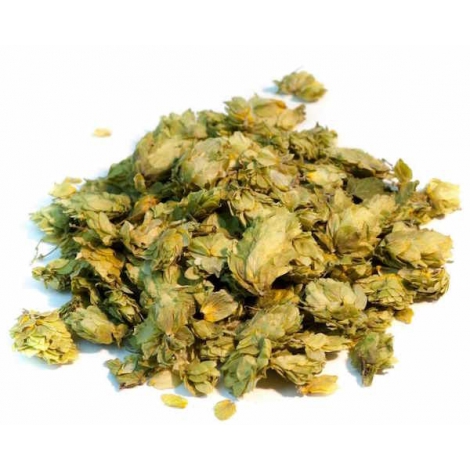 Herboristerie De Paris Houblon cônes coupés 100gr Herboristerie De Paris