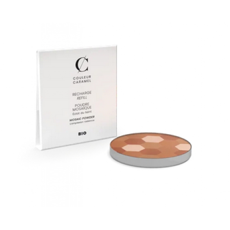 Couleur Caramel Recharge Poudre Mosaïque No 233 - Teint mat Couleur Caramel