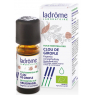 Ladrome Clou de Girofle Bio 10ml