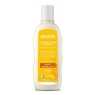 Weleda Shampoing régénérant à l'Avoine cheveux secs et abîmés 190ml Weleda