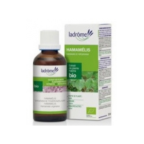 Ladrome Extrait de plantes fraîches Hamamélis bio