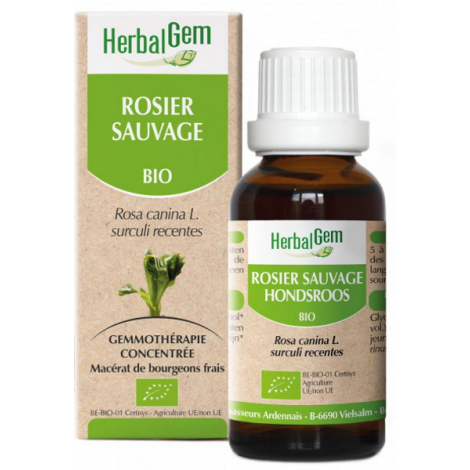 Herbalgem Gemmobase Rosier sauvage bio Flacon compte gouttes 50ml