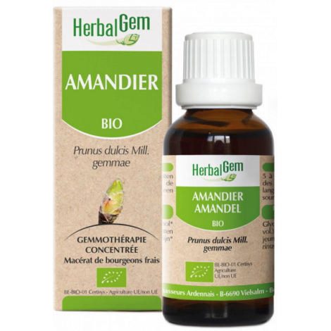 Herbalgem Gemmobase Amandier bio Flacon compte gouttes 50ml