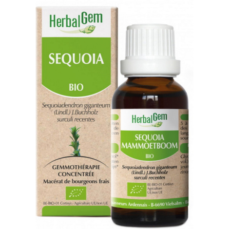 Herbalgem Gemmobase Séquoia bio Flacon compte gouttes 50ml