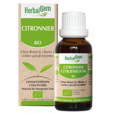 Herbalgem Gemmobase Citronnier bio Flacon compte gouttes 50ml