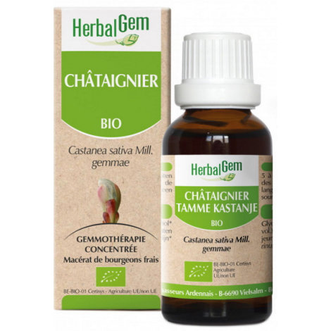 Herbalgem Gemmobase Châtaignier bio Flacon compte gouttes 50ml
