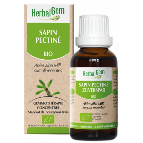 Herbalgem Gemmobase Sapin pectiné bio Flacon compte gouttes 50ml